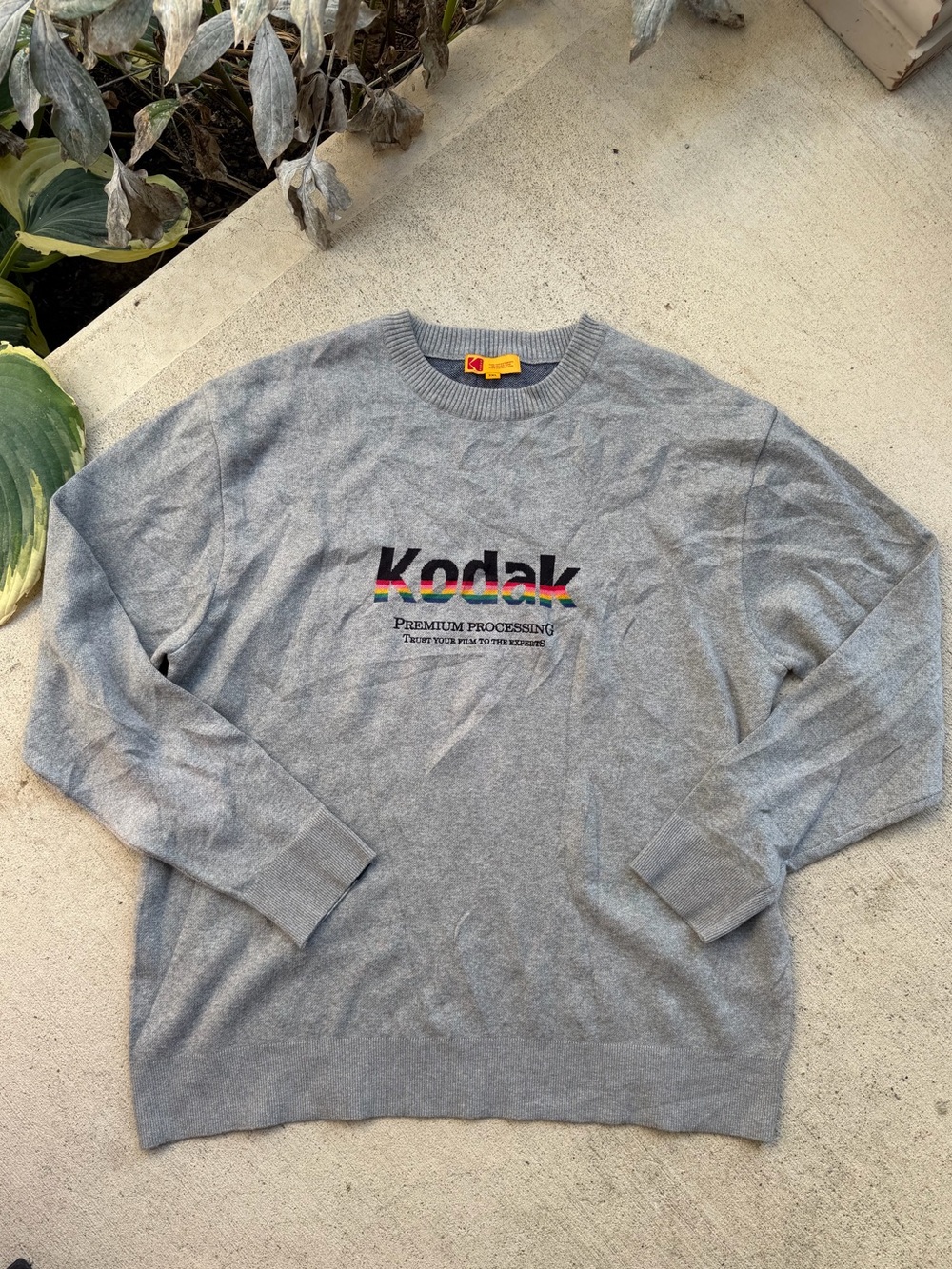 Kodak Gray Crewneck Sweater with Multicolor Logo Stripe